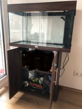 Juwel Rio 125 Aquarium Set in dark brown/wood-look in Stuttgart, GE