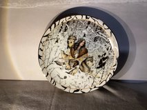 Bradford exchange  collectable Native American scenes in Warner Robins, Georgia