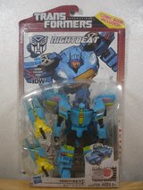 Transformers Nightbeat in Okinawa, Japan