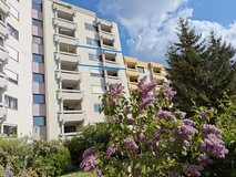 Stuttgart 2 Bedroom Patch, Robinson, Panzer in Stuttgart, GE