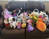 Stuffed animals in Vacaville, California
