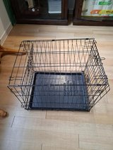 Dog Cage Kennel in Osan AB, South Korea