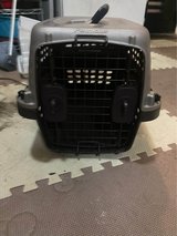 Small Pet Carrier in Okinawa, Japan
