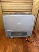 Ceramic Fan Heater & Steam Humidifier in Okinawa, Japan