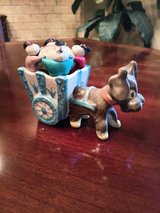Silly cute Dog pulling a cart(with a pin cushion) in Alamogordo, New Mexico