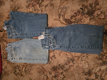 Carhartt jeans #3 in Alamogordo, New Mexico