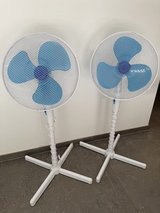 2 Fans in Ramstein, Germany