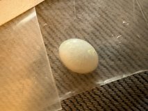 Polished stone in Alamogordo, New Mexico