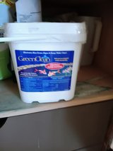 Green Clean pond algae control, granular  (8 pounds) in Alamogordo, New Mexico