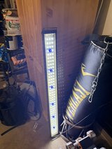 fish tank light in Alamogordo, New Mexico