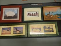 "Farm House" pictures in Alamogordo, New Mexico