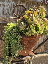 Plant Sale in Yucca Valley, California