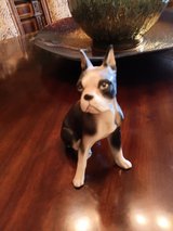 Adorable Boston Terrier figurine Japan 50s/60s in Alamogordo, New Mexico