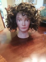 Curly messy black wig with a lace front in Alamogordo, New Mexico