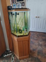 40 gallon Fish Tank in Alamogordo, New Mexico