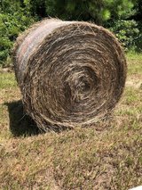 Fresh cut Hay in Fort Polk, Louisiana