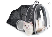 Expandable Bubble Cat Backpack / Pet Carrier in Okinawa, Japan