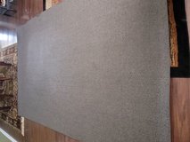 6' x 9' Grey-Tan Area Rug in Saint Petersburg, Florida