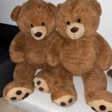 Large Teddy Bears in Stuttgart, GE