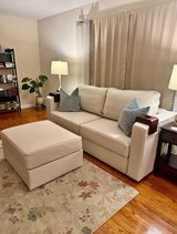 Lovesac Couch in Minneapolis, Minnesota