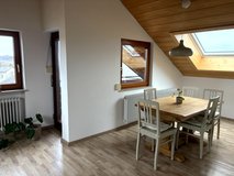 roof apartment, 2 bedrooms basic furnished in Stuttgart, GE
