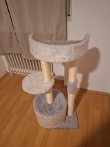 cat stand in Ramstein, Germany