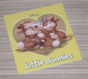 Disney Little Bunnies Book Thumper and his family in Bolingbrook, Illinois