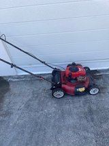 Lawn Mower in Okinawa, Japan