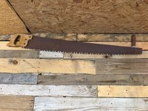 Two man hand saw in Kingwood, Texas