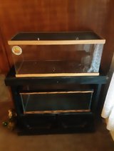 Stand with Aquariums in Alamogordo, New Mexico