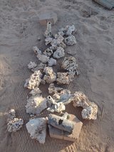 coral rocks for aquariums lizard and snake tanks in 29 Palms, California