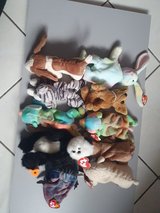 Ty assorted in Ramstein, Germany