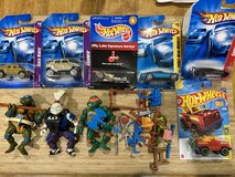 Hot Wheels & Ninja Turtles in Houston, Texas