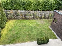 Petfriendly single family home in Schönaich with garden in Stuttgart, GE