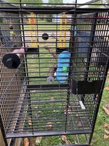 Bird Cage in Fort Campbell, Kentucky