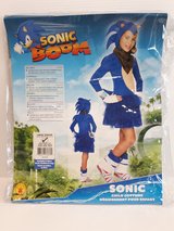 Sonic Costume in Okinawa, Japan