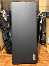 ESP V / EX Guitar Case in Okinawa, Japan