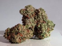 Fresh ?? and exotic ??? in stock. DM for the pack. No faking!. 100% authentic products. in Yorkville, Illinois