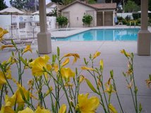 Spacious Private Bedroom(s) Available in Nice, Well-Maintained Home with Convenient Location in Camp Pendleton, California