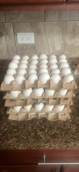 Farm fresh organic leghorn eggs in Plainfield, Illinois