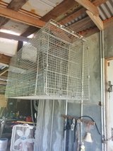 49 long 25 wide 30 tall livetrap in Fort Polk, Louisiana