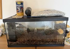 Fish Tank/Aquarium in Ramstein, Germany