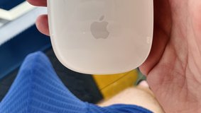 Free Mouse (Apple) in Chicago, Illinois