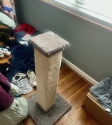 Free Cat Scratch Post in Chicago, Illinois