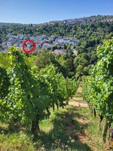 4BR Cozy Townhouse next to Vineyard Family-friendly in Stuttgart, GE