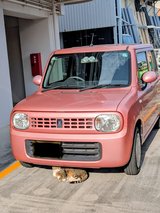 2013 Suzuki Lapin Alto in Okinawa, Japan