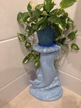 Plant with stand in Okinawa, Japan