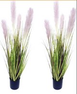 ???? Set of 2 Tall Artificial Pampas Grass Plants – $45 ???? in Naperville, Illinois