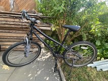 Retrospec Dart 24" Bike (2022) in Stuttgart, GE