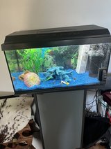 20 gallon fish tank with stand and accessories in Stuttgart, GE